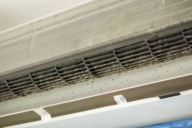 Best HVAC System Cleaning  in Coalville, UT